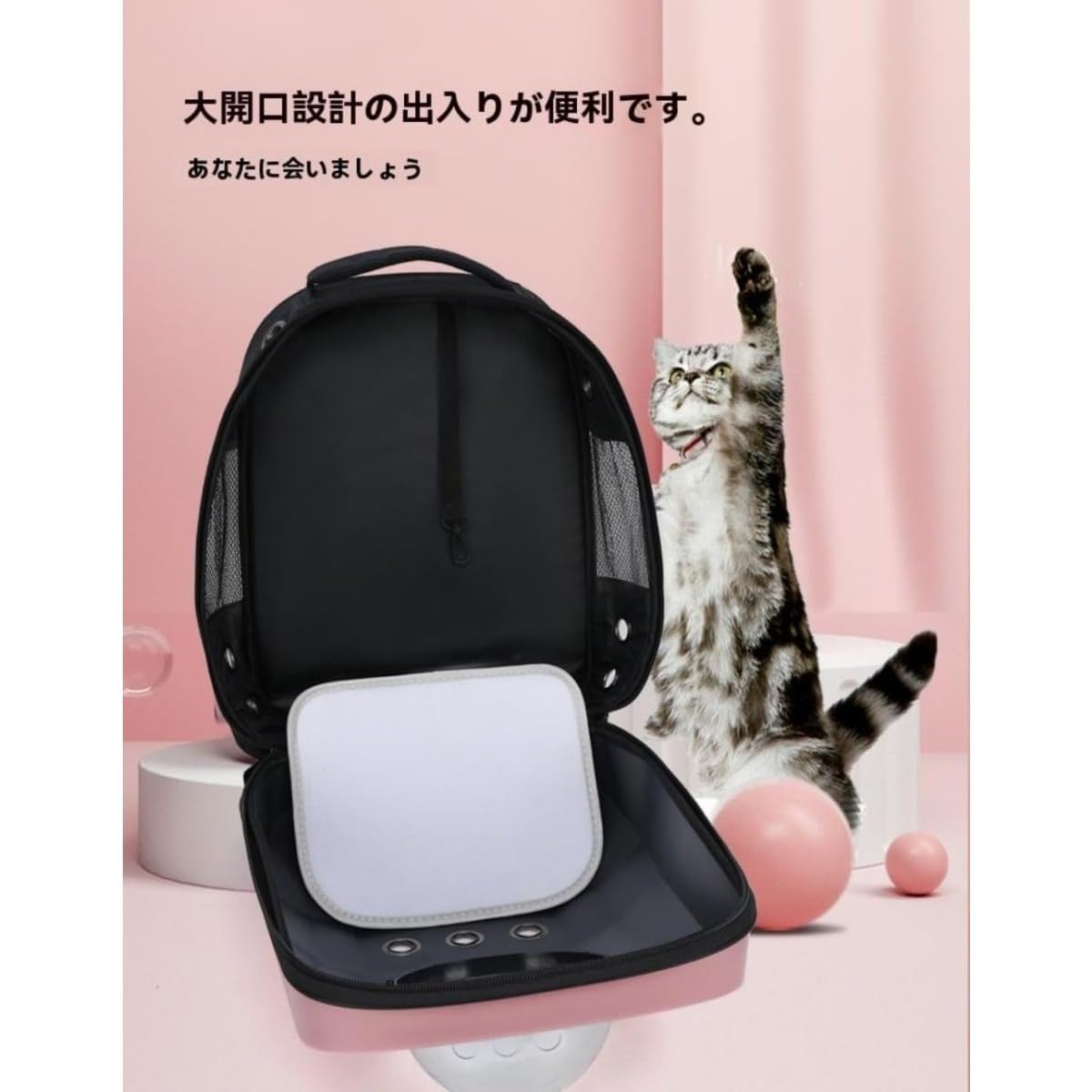 Amazon.co.jp: BQQB ペットキャリーバッグ 大型 猫リュック 耐荷重8Kg